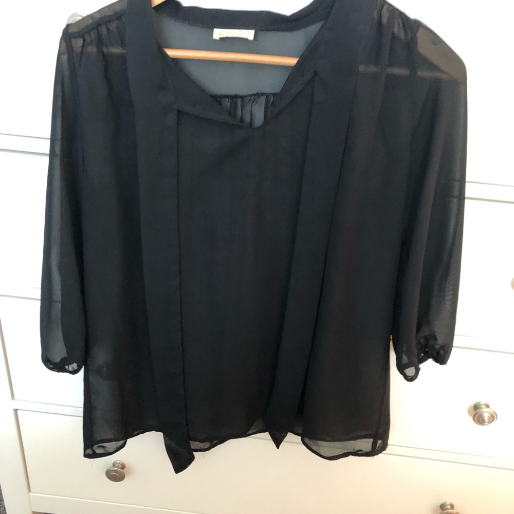 April sheer illusion blouse